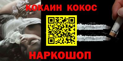 крисы Можга