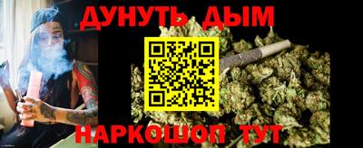 крисы Можга