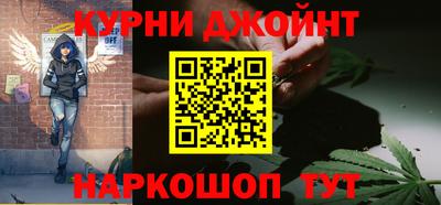 крисы Можга