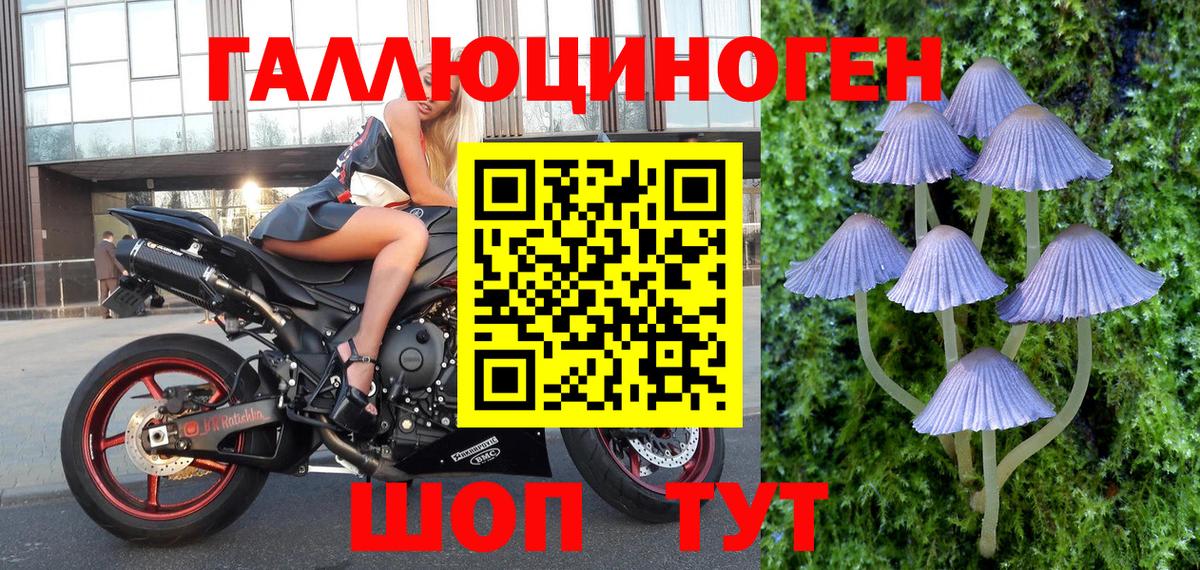 Усть-Джегута  Псилоцибиновые грибы мухоморы  Галлюциногенные грибы ЛСД  Вход с VPN 